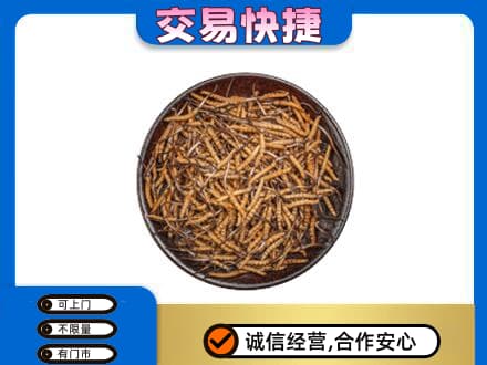 洛阳市高价回收散虫草